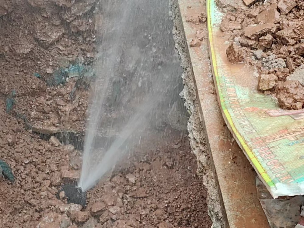 益阳市大通湖管理区消防水管漏水检测定点开挖